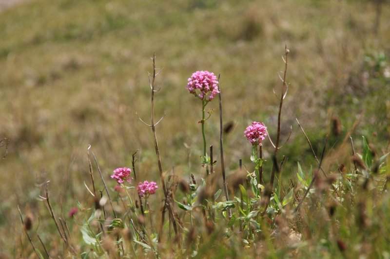 Engeland zuiden (o.a. Stonehenge) - 137